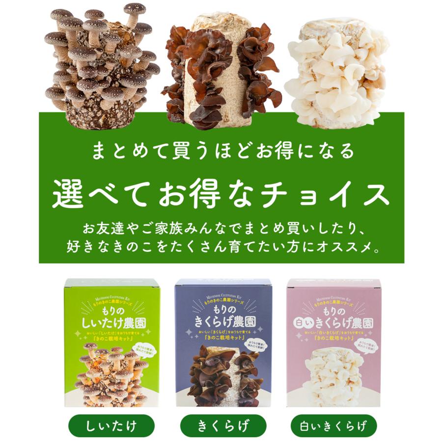 森のきの子様×4 森のきのこ倶楽部 きのこ栽培キット < お好み4個 選べてお得 > 農園4