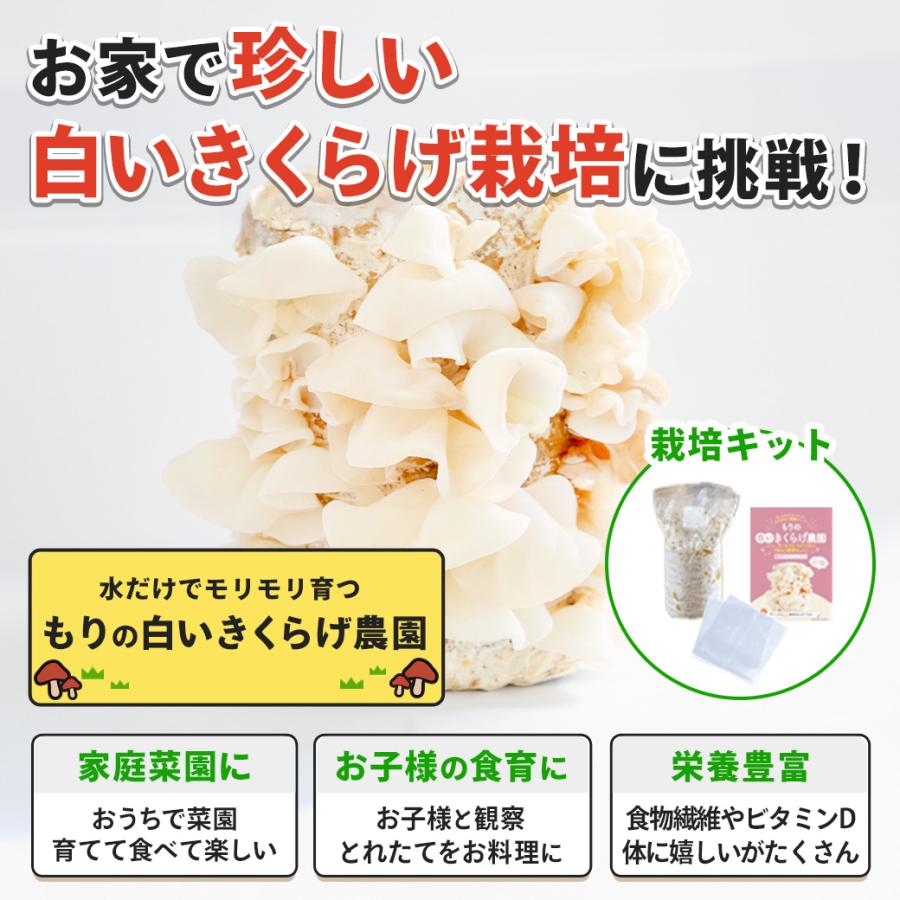 森のきの子様×4 森のきのこ倶楽部 きのこ栽培キット < お好み4個 選べてお得 > 農園4