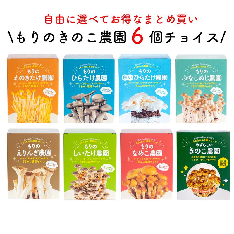 原木栽培　栽培キッド No.6　小ロング　約50センチ６本 原木しいたけ栽培セット・ホダ木4本入り ※離島への配送不可