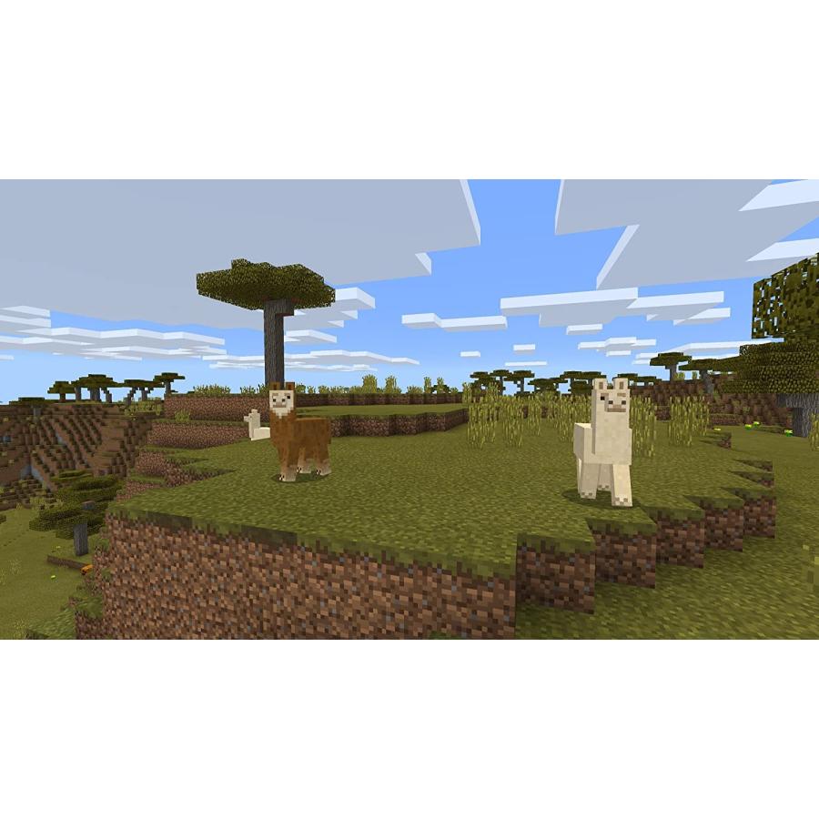 Nintendo Switch Minecraft (マインクラフト) - Switch パッケージ版