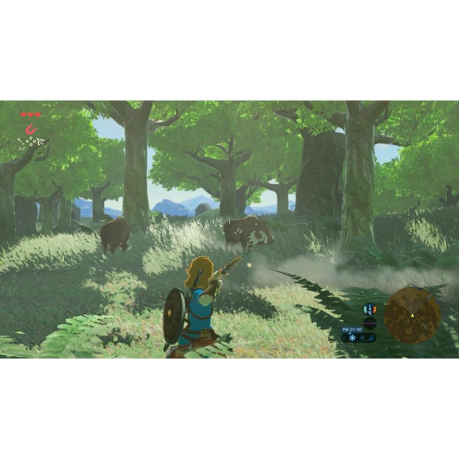 任天堂 ゼルダの伝説 ブレス オブ ザ ワイルド - Switch