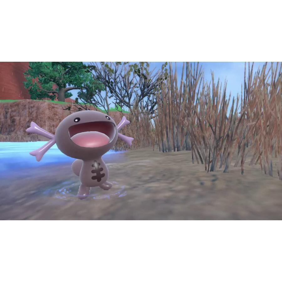 Nintendo Switch ポケットモンスター スカーレット -Switch パッケージ