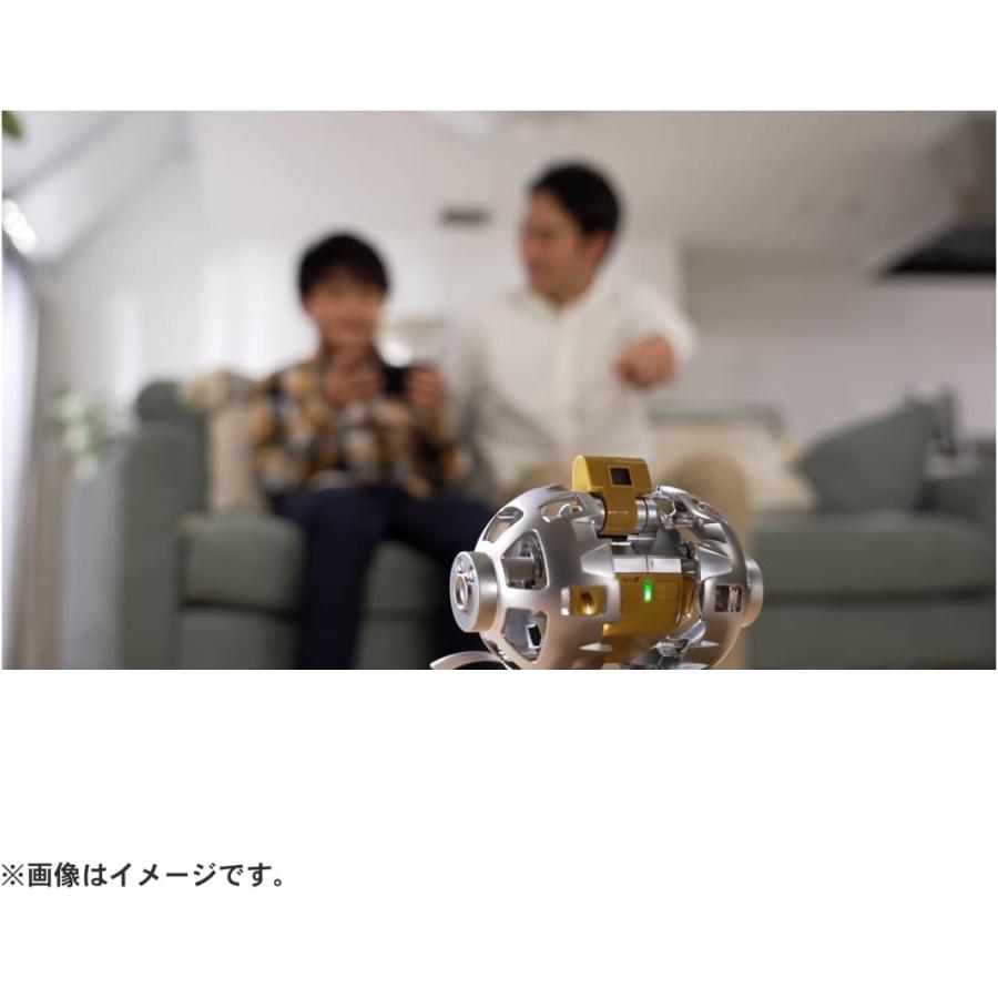新品•未開封 初回生産タカラトミー SORA-Q Flagship Model Amazon.co.jp: タカラトミー（TAKARA TOMY）SORA-Q Flagship Model