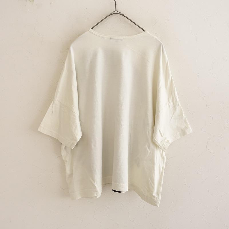 pas de calais ホワイト 半袖シャツ