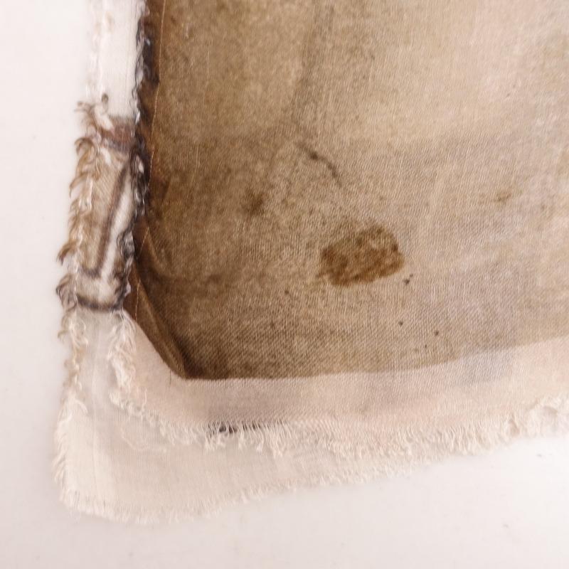 Faliero Sarti（ファリエロサルティ） Faliero Sarti*Massimo Listri