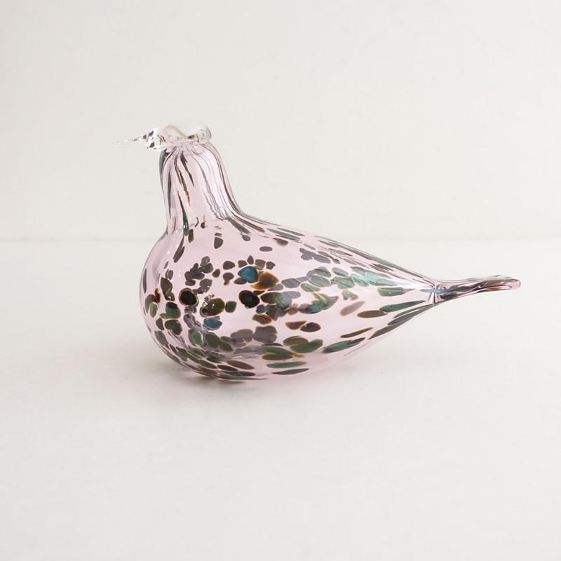 iittala（イッタラ） 【北欧】ヨシキリ/2014年 夏季限定イッタラ