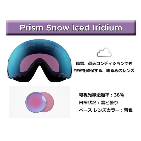 25-26 【 OAKLEY 】 オークリー スノー ゴーグル LINE MINER PRO L