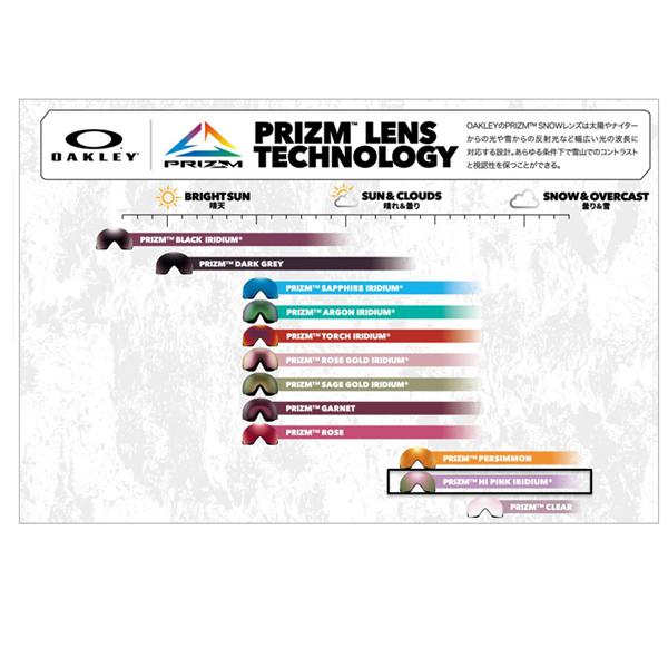 25-26 【 OAKLEY 】 オークリー スノー ゴーグル FALL LINE L フォール