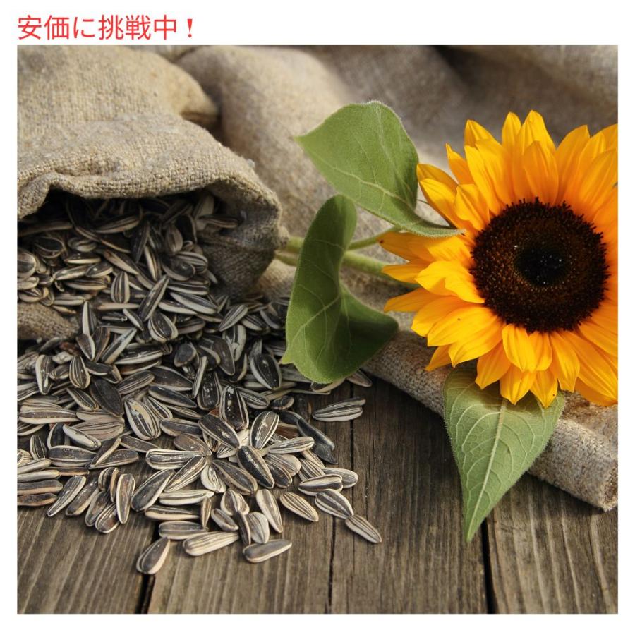 DAVID Sunflower Seeds デイビッド サンフラワーシード　オリジナル　24パック　ひまわりの種｜drplus｜05