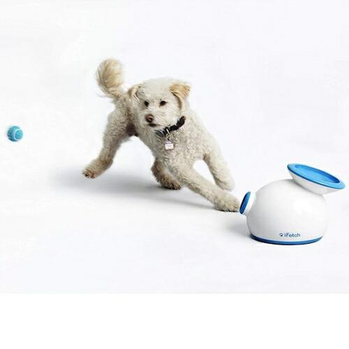 美品　iFetch インターアクティブ ボールランチャー犬用 小型テニスボール Amazon | iFetch インターアクティブ ボールランチャー犬用
