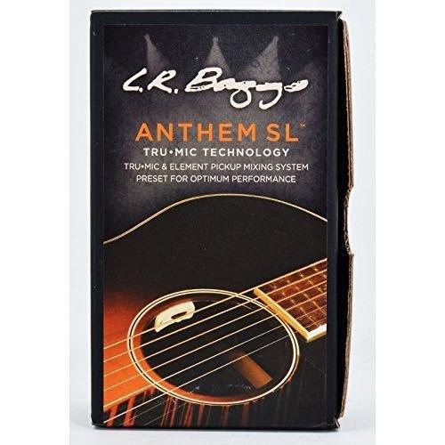 L.R.Baggsエルアールバックス Anthem SL アコースティックギター用 