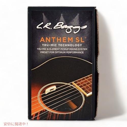 l.r.baggs anthem アコースティック ギター用ピックアップ L.R.BAGGS 