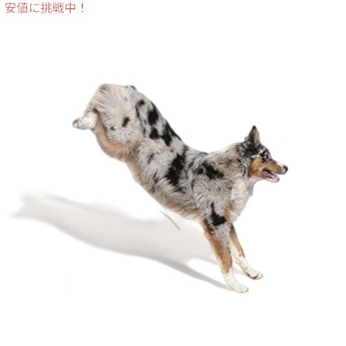並行輸入品】1-TDC Dual Action Periodontal & Joint Support for Dogs