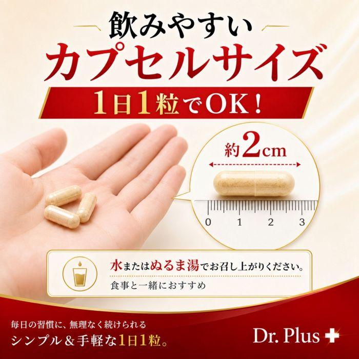 並行輸入品】高吸収コエンザイムCoQ10 - Coenzyme Q10 120カプセル お