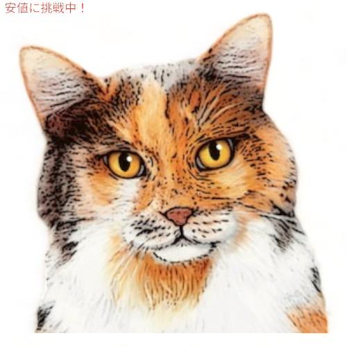 【並行輸入品】【4個】 グリニーズ ピルポケット 猫用 投薬補助 タブレット カプセル サーモン味 45g 約45個 キャットフード 猫 薬 飲ませる 包む おやつ |  | 06