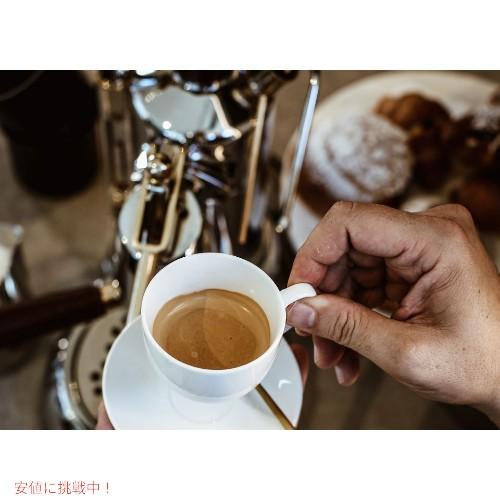 LA PAVONI ラ パボーニ ドムスバー エスプレッソマシン LA PAVONI ラ パボーニ ドムスバー エスプレッソマシン