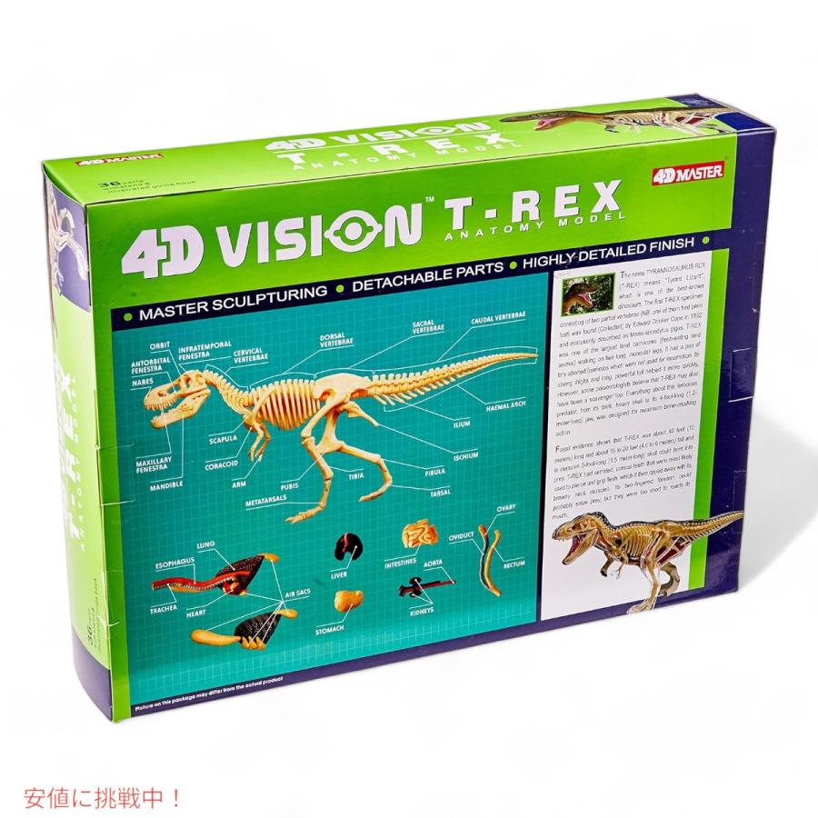 並行輸入品】ファムマスター 4Dビジョン T-Rex 解剖模型