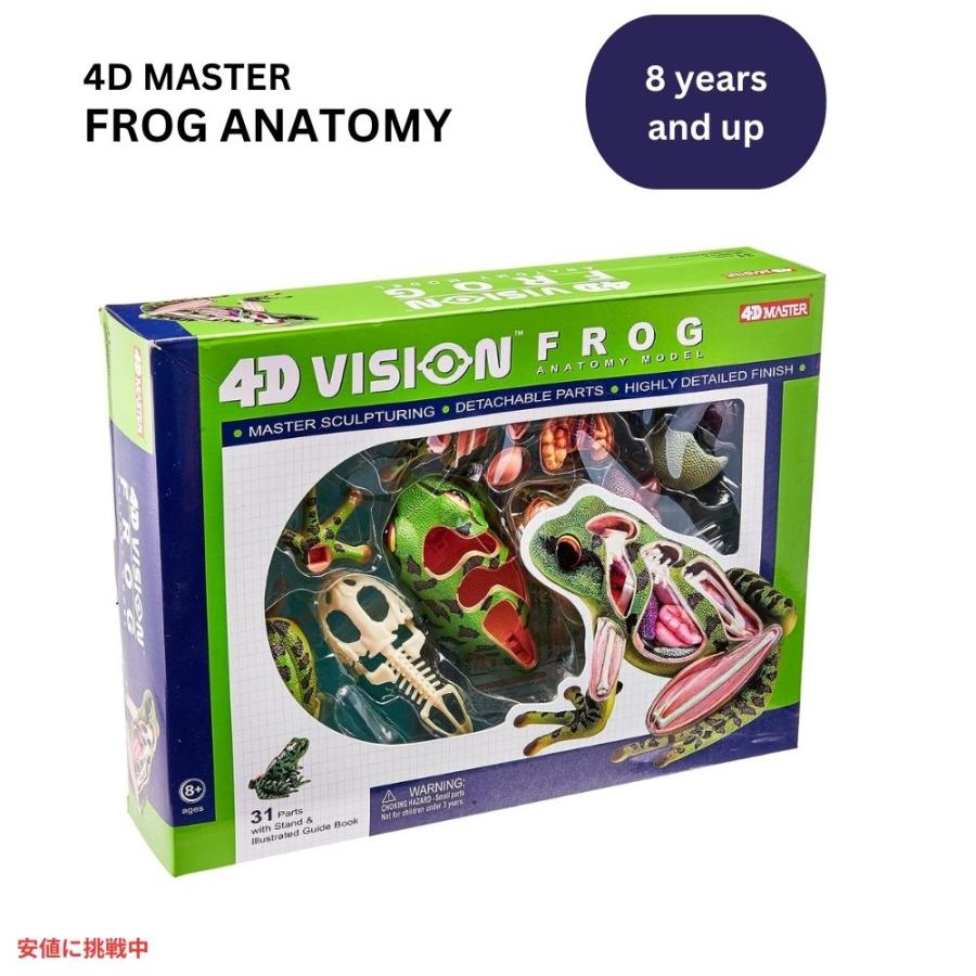 【並行輸入品】4Dビジョン カエル解剖模型 4D Vision Frog Anatomy Model : メタストア ヤフー店 - 通販 ...