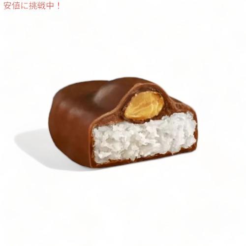 Almond Joy アーモンドジョイ ココナッツ＆アーモンド チョコレート 
