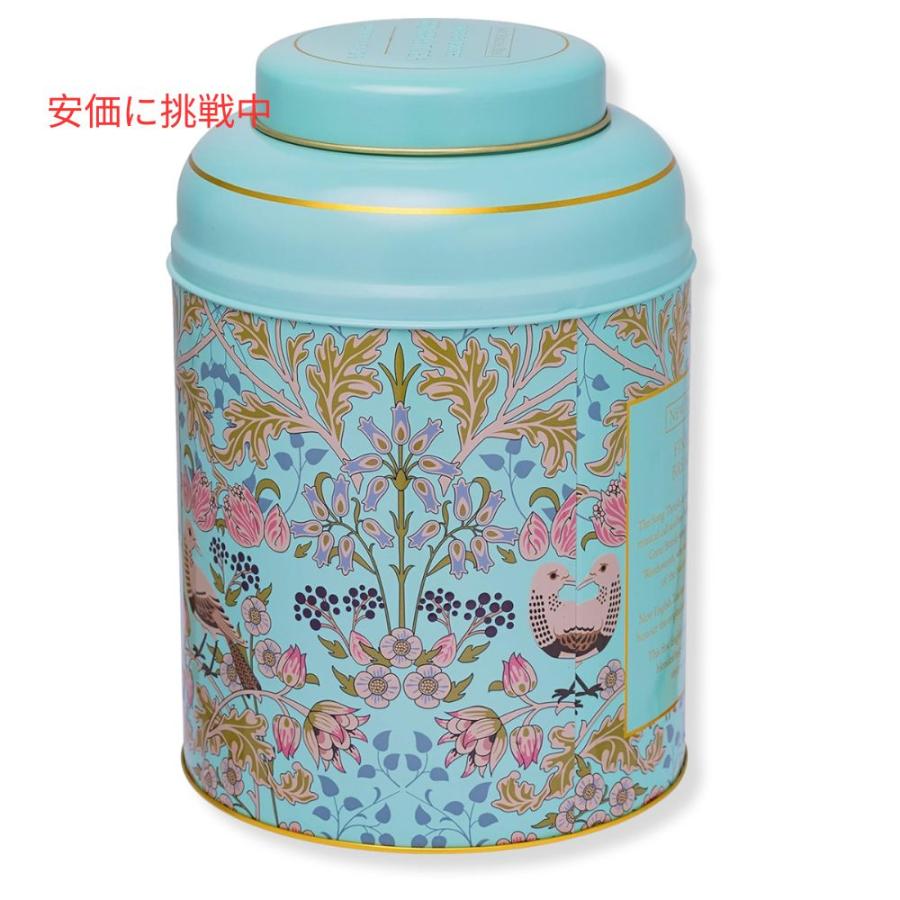 【並行輸入品】New English Teas ソングスラッシュ\u0026ベリー イングリッシュブレックファスト ティーバッグ 240 個入り  (ミントグリーン)  Song_5