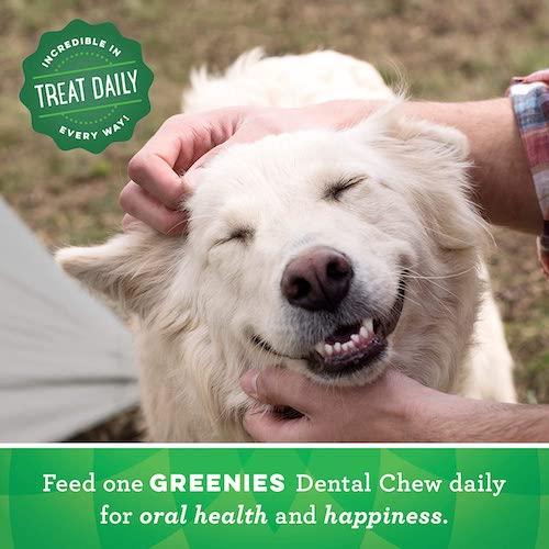 【並行輸入品】Greenies Original Dental Chews for Dogs, Regular 36 Count / グリニーズ 犬用 歯磨きガム おやつの画像