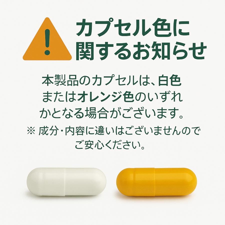 【並行輸入品】無料増量中！ ビタミンC サプリメント 270日分3個セット 540カプセル アメリカ製 リポソーム Dr.Plus ドクタープラス |  | 04