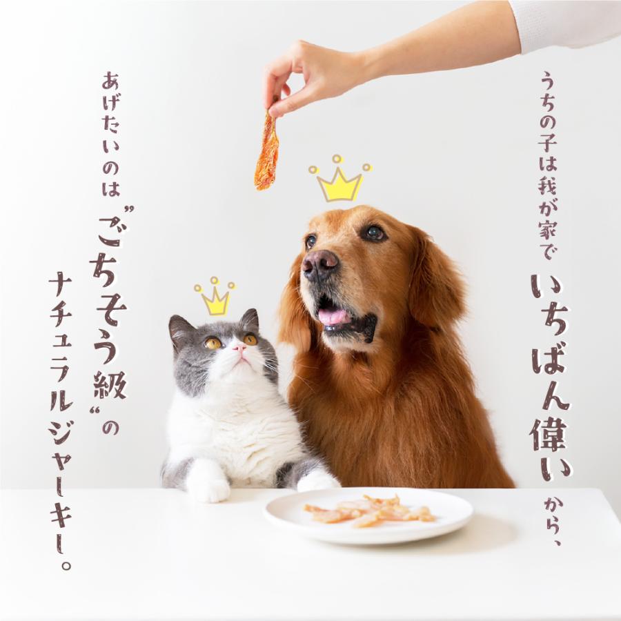 公式 犬用 豚肉ジャーキー 20g×5袋 合計100g 愛知県産 国内産 国産品