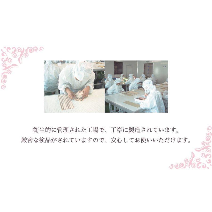 肩こり腰痛膝痛に 皮内針 ひ鍼（ひしん） 12針35012 針灸 鍼灸 |  | 06