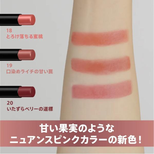 ☆新品未使用☆ケイト リップモンスター 19点セット KATE ケイト リップモンスター 19 ロゼピンク系 : Global oasis shop