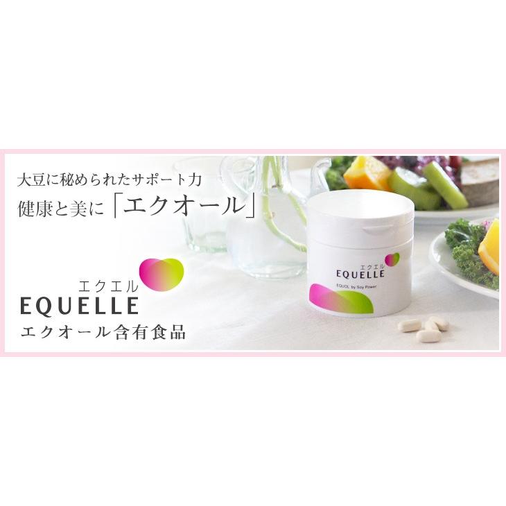 EQUELLE エクエル 112粒入 大塚製薬 :v-4987035540717:くすりのポニー - 通販 - Yahoo!ショッピング