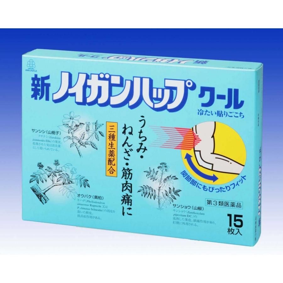 新ノイガンハップクール　１５枚　　湧永製薬　　第３類医薬品｜drug-yanagawa