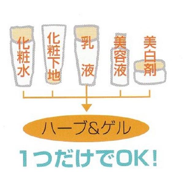 ナチュラルウェーブ ハーブアンドゲル 天然ハーブエキス配合 120g