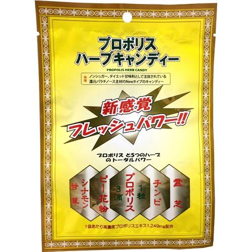 ナリス ビューティプロ 7008000 本体 ナリス 美顔器 ビューティープロ ポレーション 【公式通販】