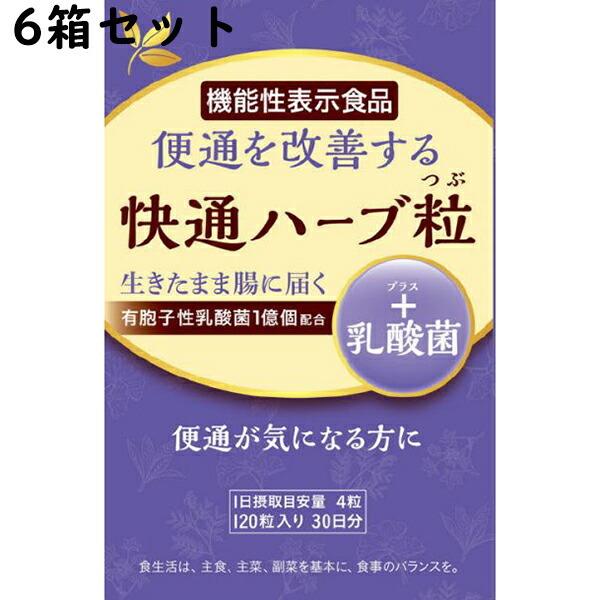 【☆】有限会社 ナチュラルウェーブ 快通ハーブ粒+乳酸菌 120粒×6個セット 【機能性表示食品(便通が気になる方に)】関連商品：楽美健快 快適ハーブ粒