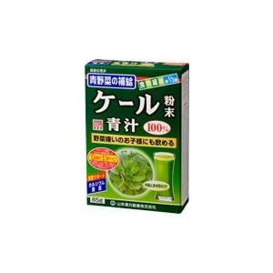 尖んがり8倍好いかげんに 山本漢方製薬株式会社 ケール粉体100％ 85g×10個仕掛ける その他健康ドリンク-健康飲料-ダイエット、健康