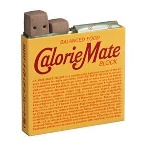 J】大塚製薬 カロリーメイトブロック チョコレート4本入×10個セット