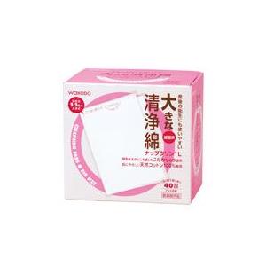 再再販 和光堂株式会社 大きな清浄綿ナップクリンl 40包 個 1ケース お1人様1点限り Epicmountainbike Com