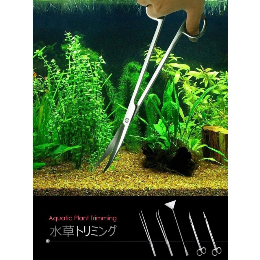 水草トリミング 5点セット お手入れ ハサミ ピンセット (ストレート/カーブ) サンドフラッター 水槽管理 ステンレススチール製熱帯魚水草セット 水槽 掃除 :uc-1147:張本 ストア - 通販 - Yahoo!ショッピング 水草トリミング 5点セット お手入れ ハサミ ピンセット (ストレート/カーブ) サンドフラッター 水槽管理 ステンレススチール製熱帯魚水草セット 水槽 掃除 :uc-1147:張本 ストア - 通販 - Yahoo!ショッピング