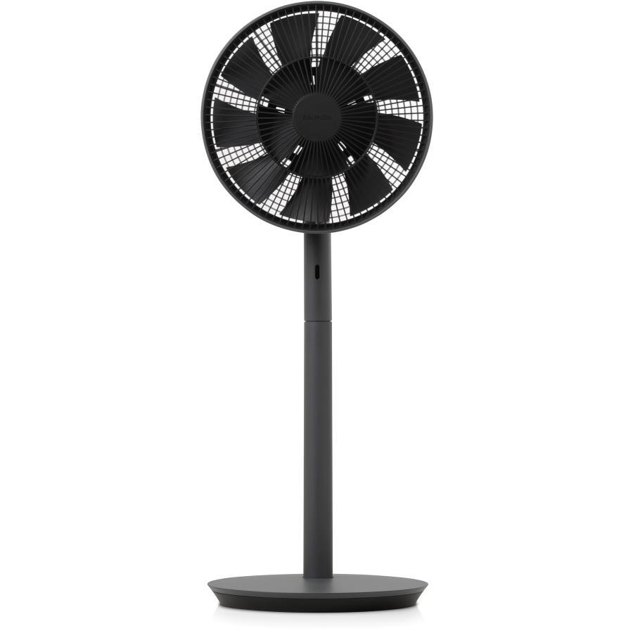 美品 バルミューダ 扇風機 The GreenFan ダークグレー リモコン付 BALMUDA（バルミューダ） 扇風機 The GreenFan グリーンファン DC