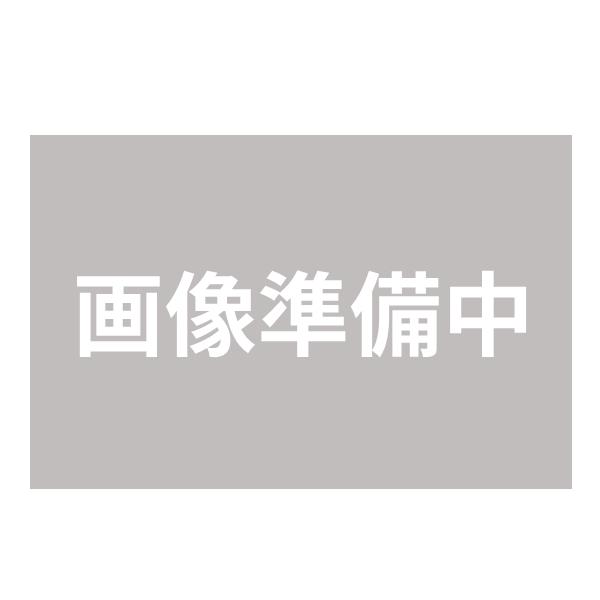 日本エー・アイ・シー Aladdin 遠赤外線グラファイトヒータ AEH-G408N-W ホワイト