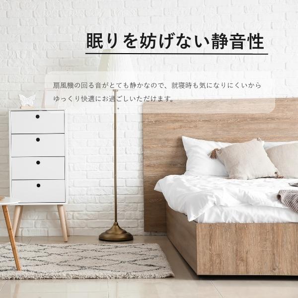バルミューダ 扇風機 DCモーター搭載 静音 リビング扇風機 AGR01JP-WH