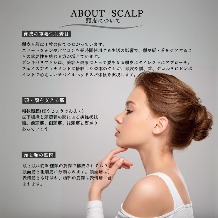 ELECTRON(コスメ、美容、ヘアケア) ELECTRIC BARI BRUSH ELECTRON(コスメ、美容、ヘアケア) ELECTRIC BARI BRUSH