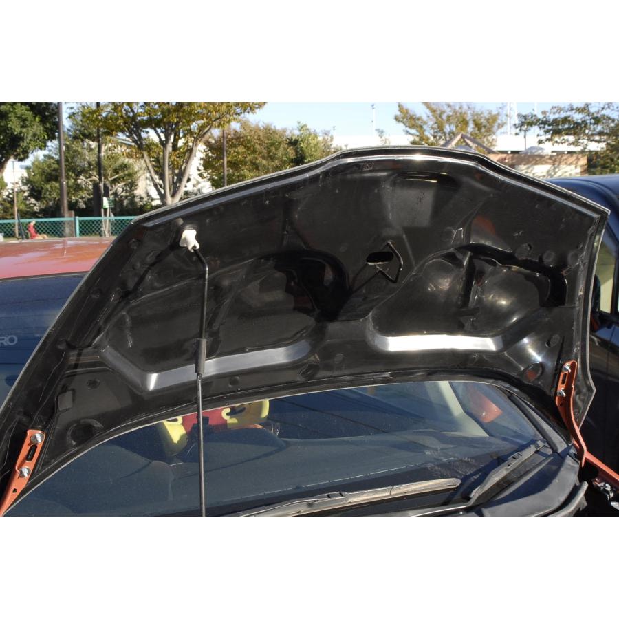 フィット Fit GE6 GE7 GE8 GE9 ノーマル形状カーボンボンネット