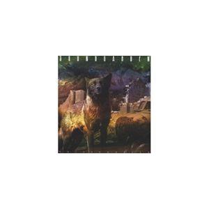 輸入盤 SOUNDGARDEN / TELEPHANTASM ： A RETROSPECTIVE （SUPER DELUX VERSION） [2CD＋DVD＋3LP]