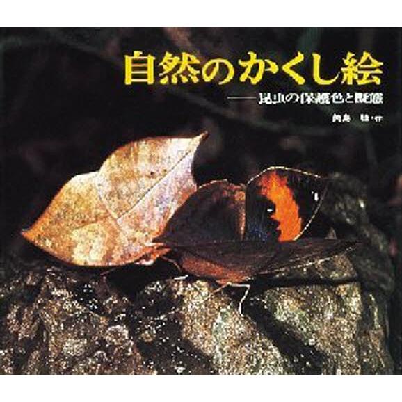 自然のかくし絵 昆虫の保護色と擬態 写真絵本 ぐるぐる王国ds ヤフー店 通販 Yahoo ショッピング