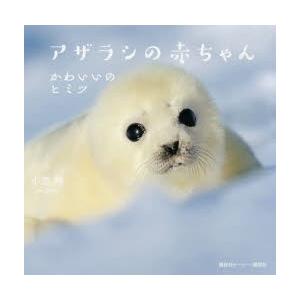 アザラシの赤ちゃん かわいいのヒミツ ぐるぐる王国ds ヤフー店 通販 Yahoo ショッピング