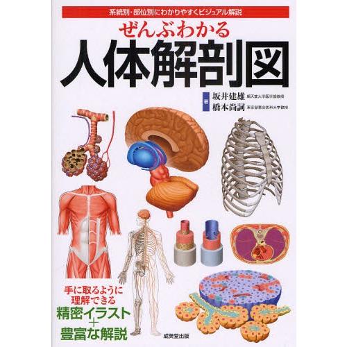 ぜんぶわかる人体解剖図 系統別・部位別にわかりやすくビジュアル解説｜dss
