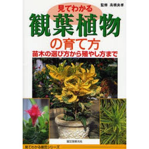 見てわかる観葉植物の育て方 苗木の選び方から殖やし方まで｜dss