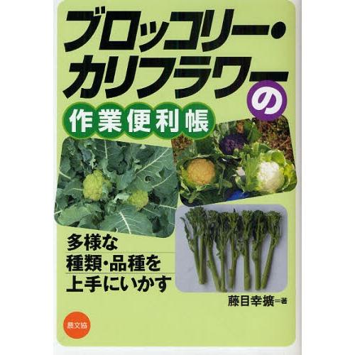 緑黄色社会 ブロッコリー＆カリフラワー　set 未開封 緑黄色社会 ブロッコリー＆カリフラワー set 未開封 緑黄色社会