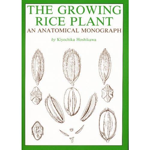 英訳・解剖図説イネの生長
